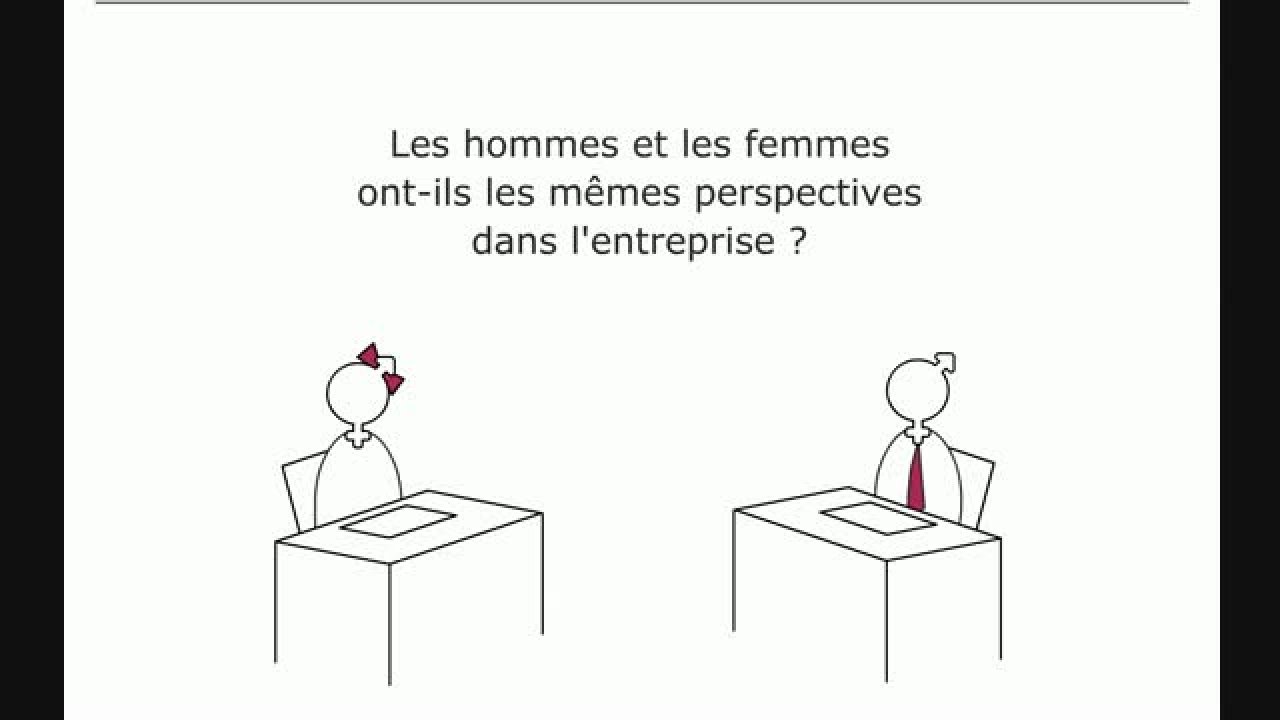 MEGA / 2013 / Analyse de la situation dans l'entreprise