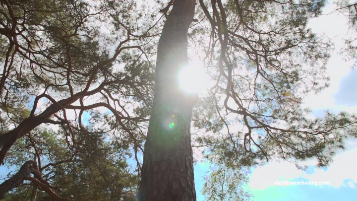 #ADayInLuxembourg